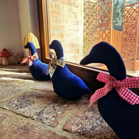 公寓 Torre Del Tempo 托尔吉亚诺