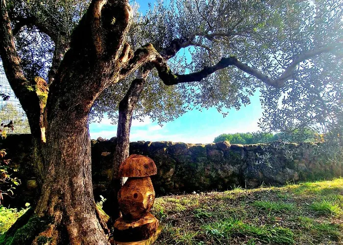 Apartment Torre Del Tempo *